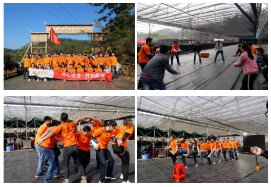 2019九龍生態(tài)園團(tuán)建.png